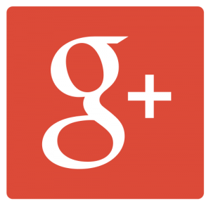 Google+ Button